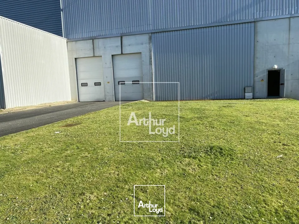 Locaux d'activité & Entrepôts - Location - COMBS LA VILLE - 77380 - 3403-6806 - 7771485