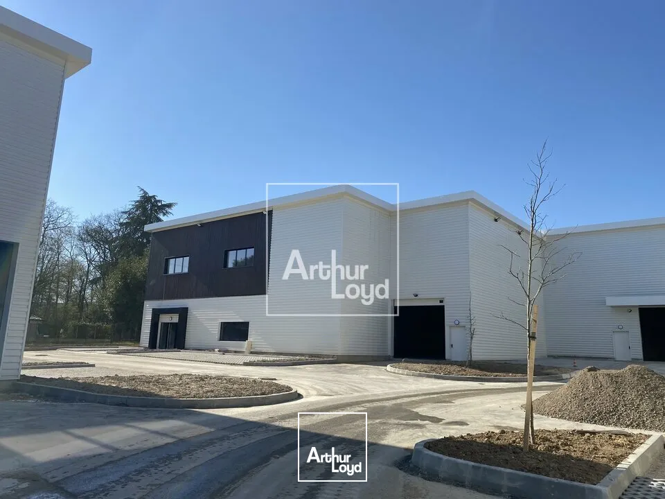 Locaux d'activité & Entrepôts - Vente - OLLAINVILLE - 91290 - 367-2540 - 7771512