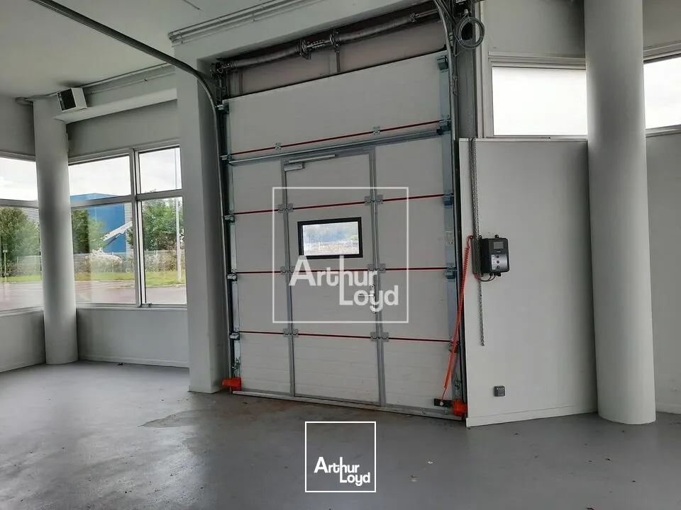 Locaux d'activité & Entrepôts - Location - TIGERY - 91250 - 552-552 - 7771520