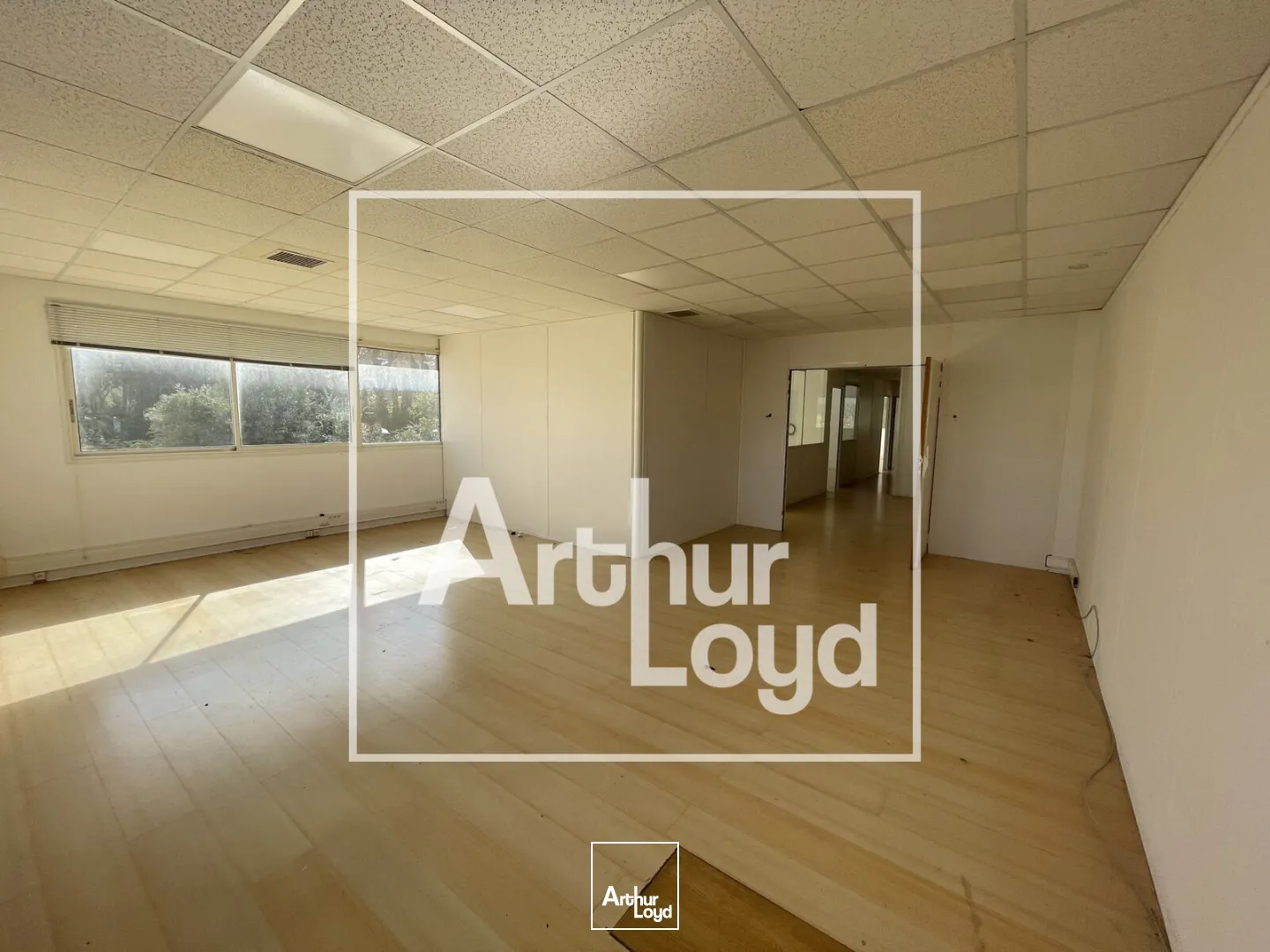 Bureaux - Location - BAILLARGUES - 34670 - 62-350.6 - 7771678