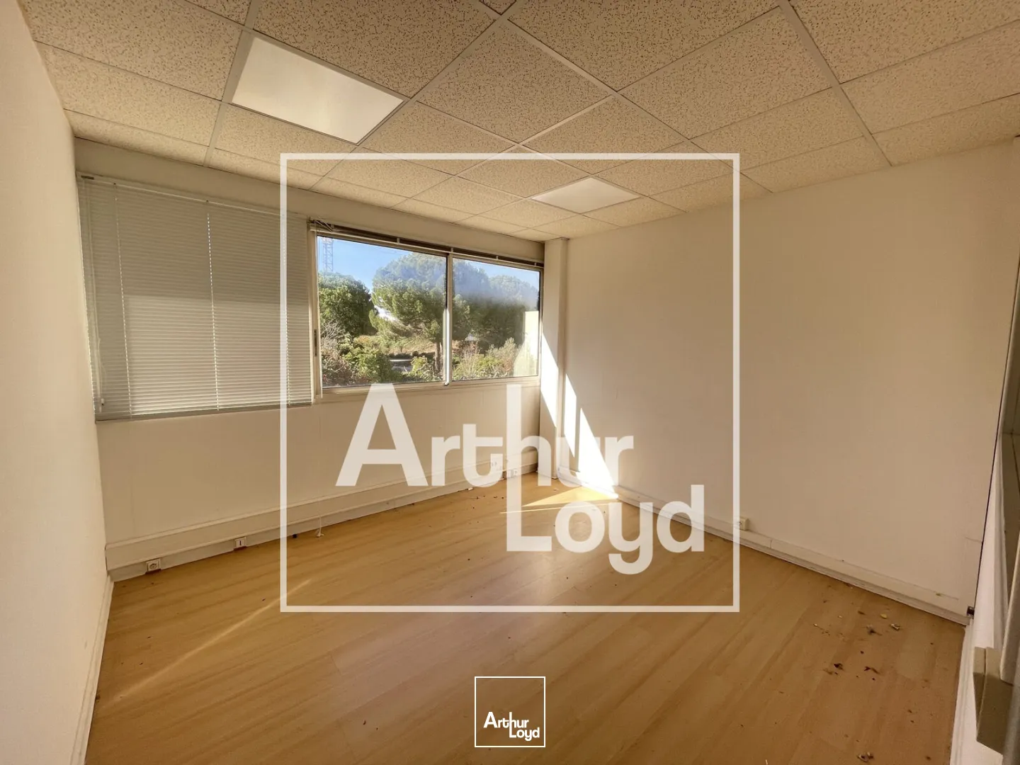 Bureaux - Location - BAILLARGUES - 34670 - 62-350.6 - 7771680