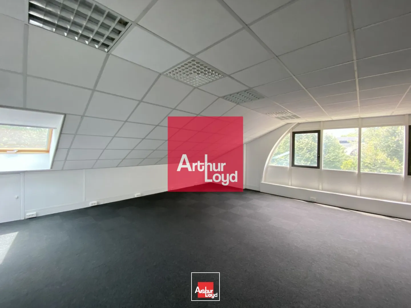 Bureaux - Location - EYBENS - 38320 - 79-164 - 7771862