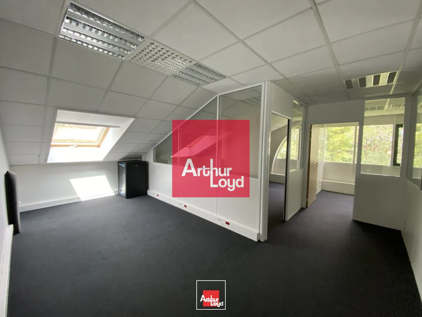 Bureaux - Location - EYBENS - 38320 - 79-164 - 7771863