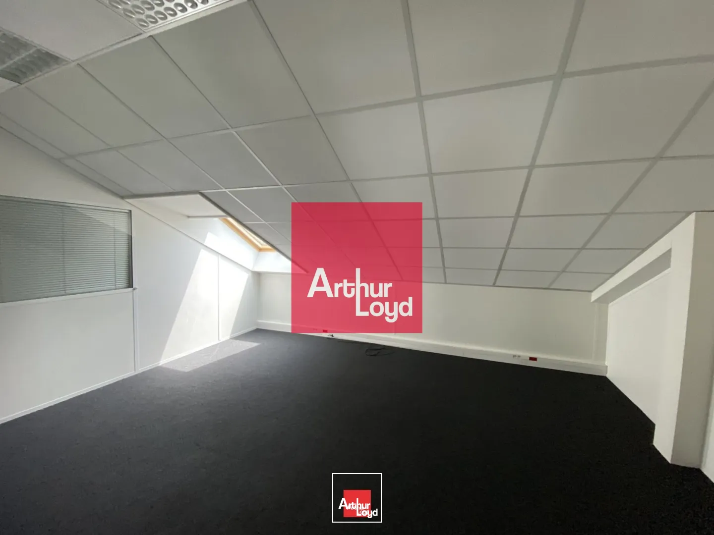 Bureaux - Location - EYBENS - 38320 - 79-164 - 7771864
