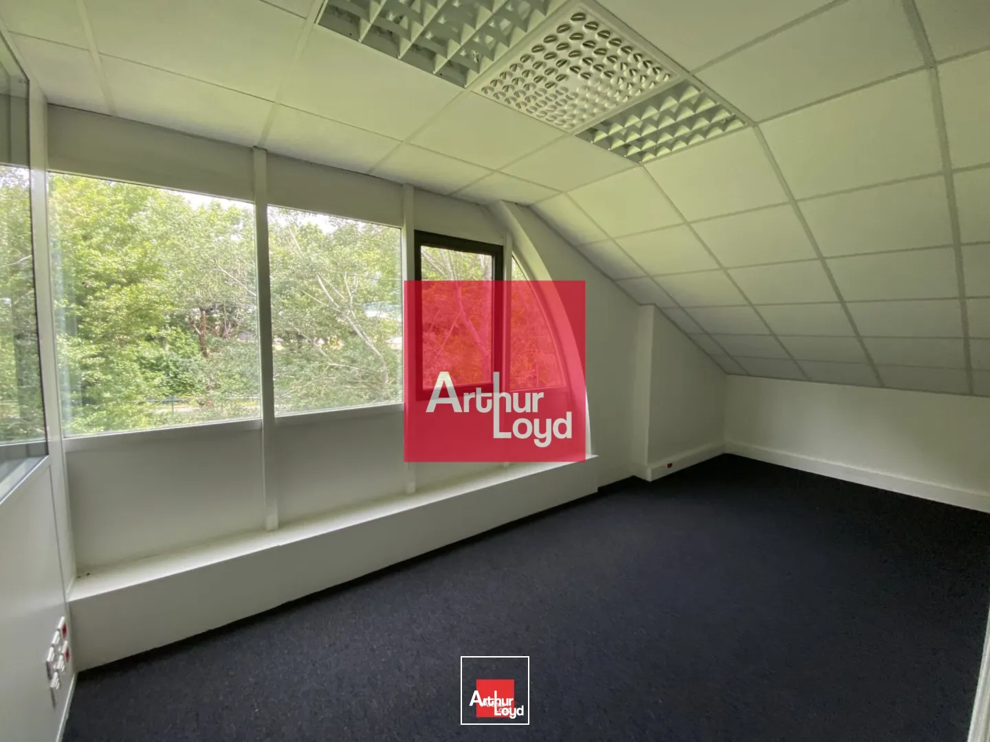 Bureaux - Location - EYBENS - 38320 - 79-164 - 7771865