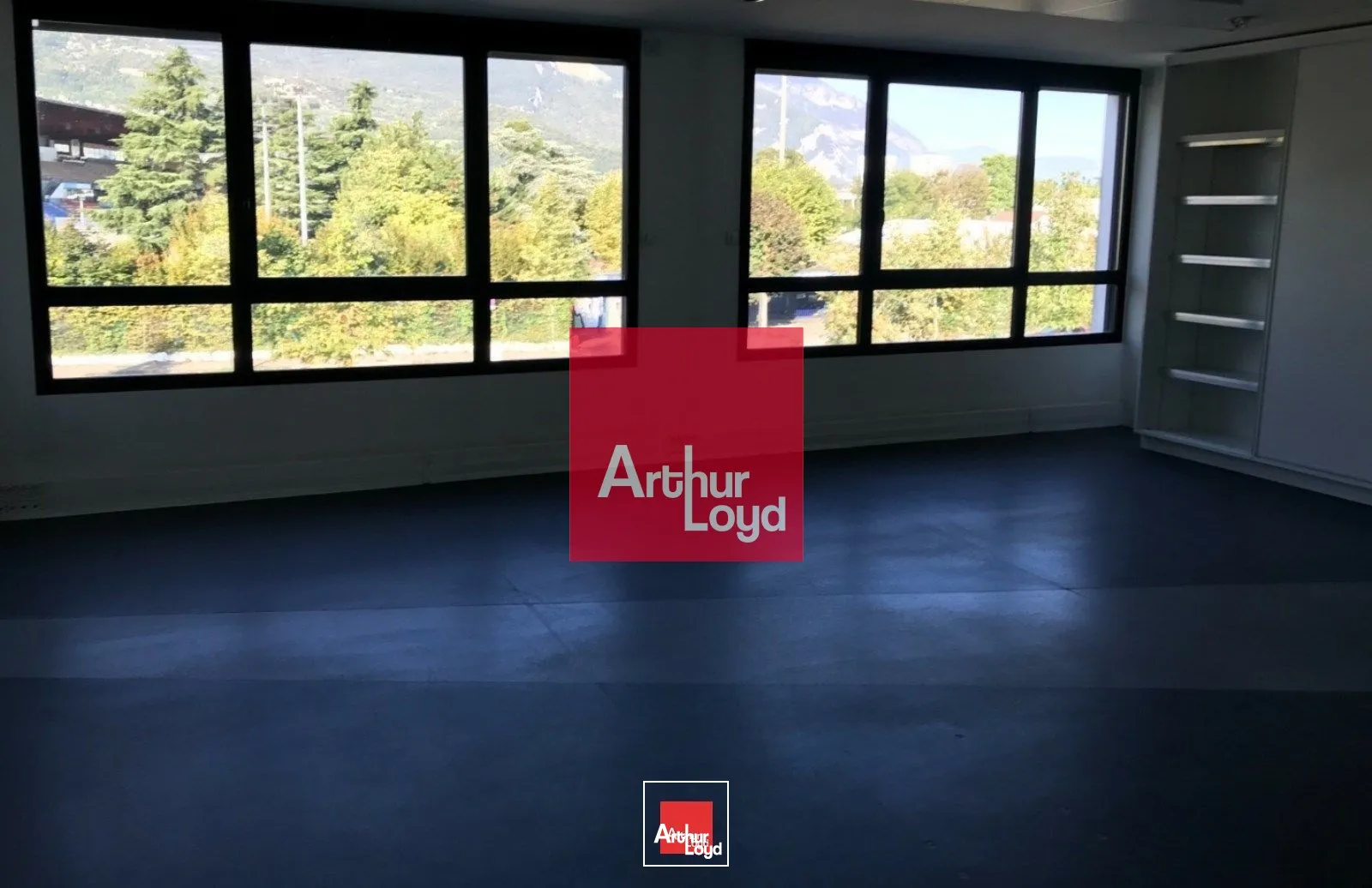 Bureaux - Vente - GRENOBLE - 38100 - 377.69-922.97 - 7771871