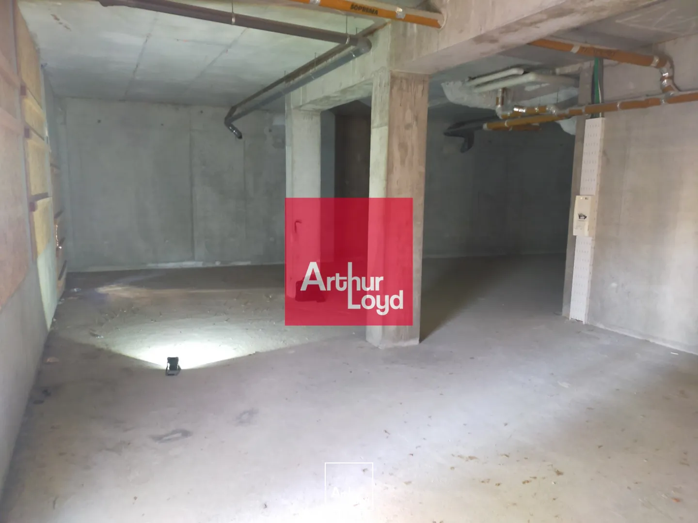 Locaux commerciaux - Location - GRENOBLE - 38100 - 141-141 - 7771978