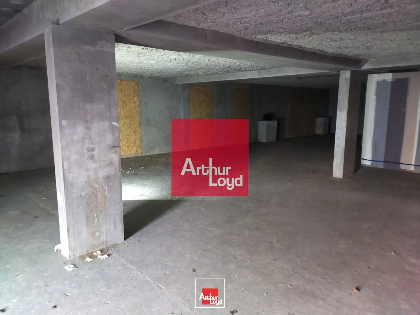 Locaux commerciaux - Location - MEYLAN - 38240 - 230-230 - 7771994