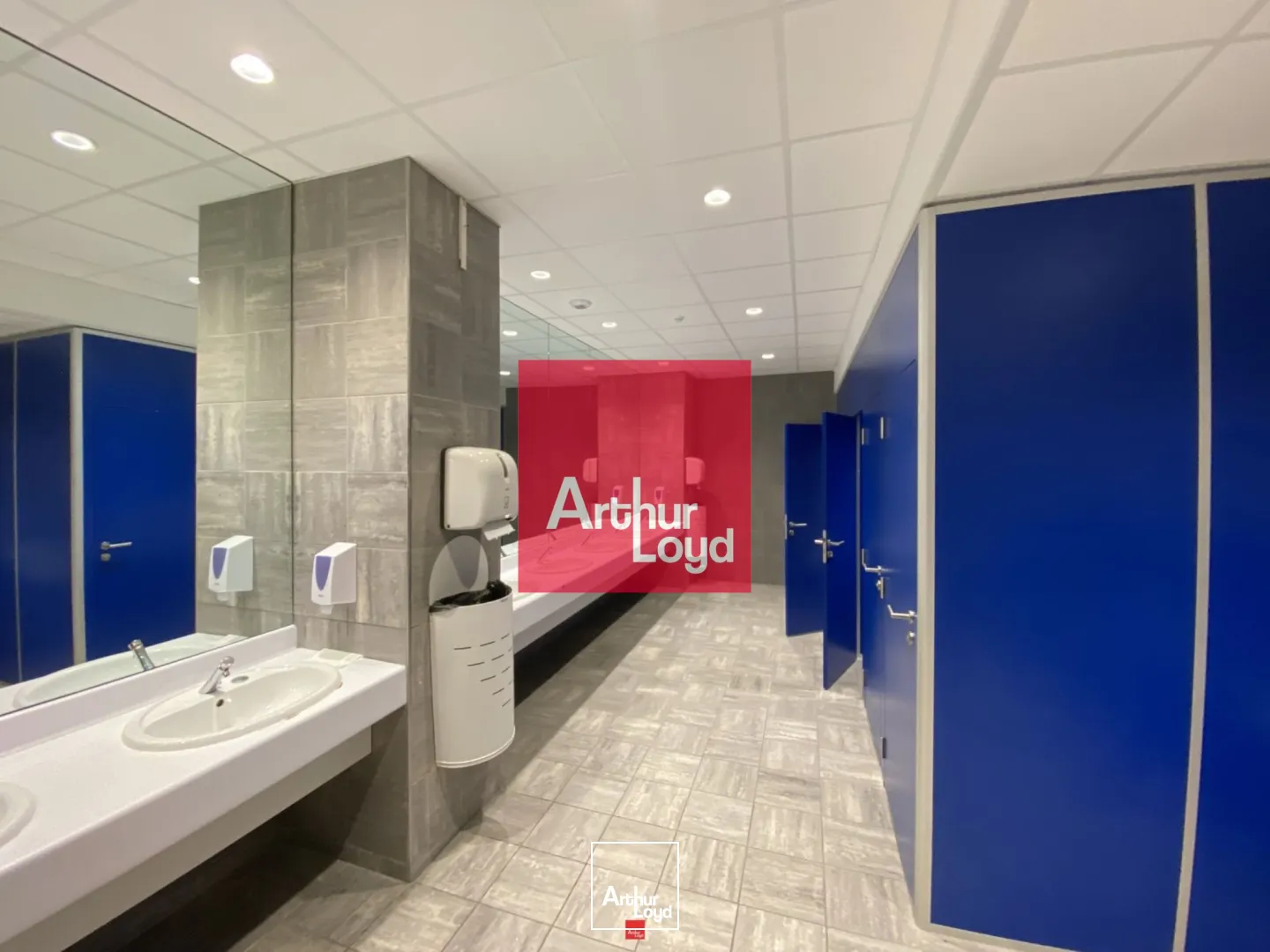 Bureaux - Location - EYBENS - 38320 - 249.68-914.23 - 7772407