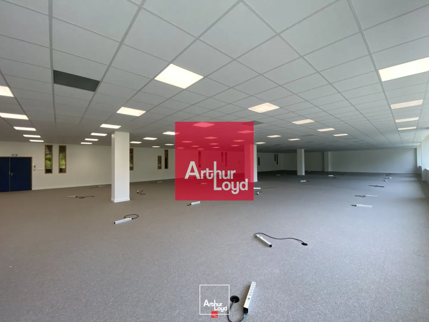 Bureaux - Location - EYBENS - 38320 - 249.68-914.23 - 7772404