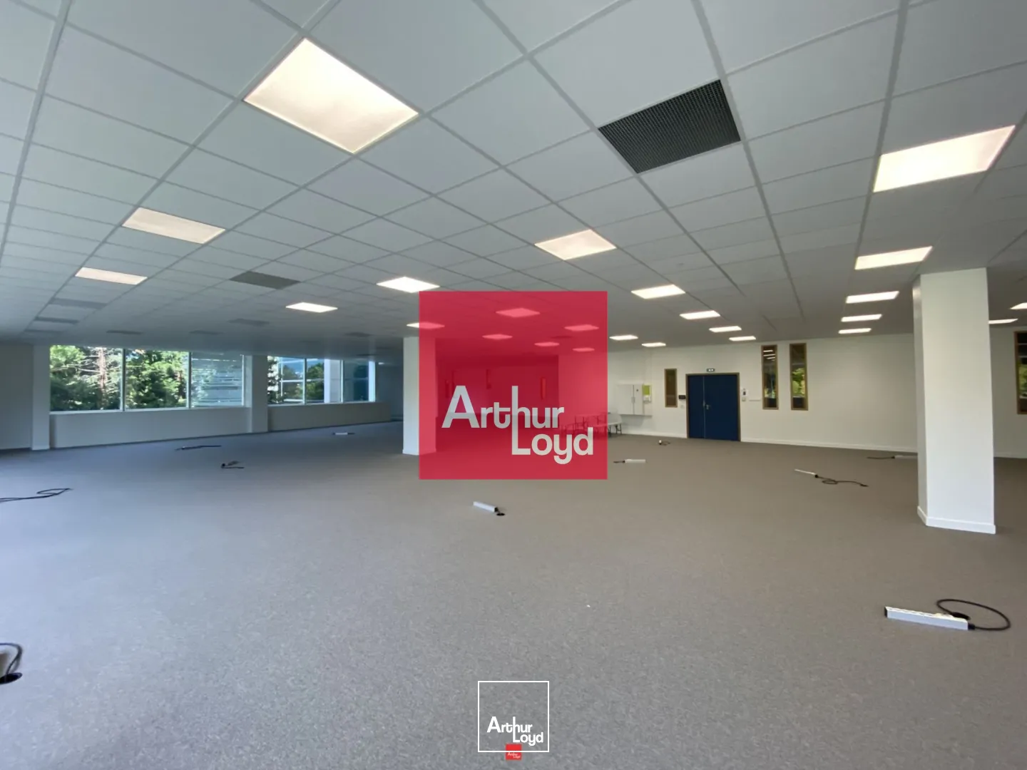 Bureaux - Location - EYBENS - 38320 - 249.68-914.23 - 7772405