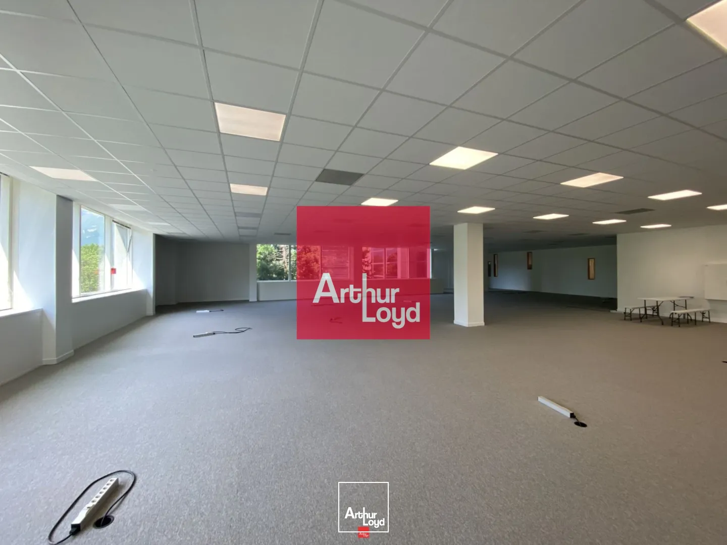 Bureaux - Location - EYBENS - 38320 - 249.68-914.23 - 7772406