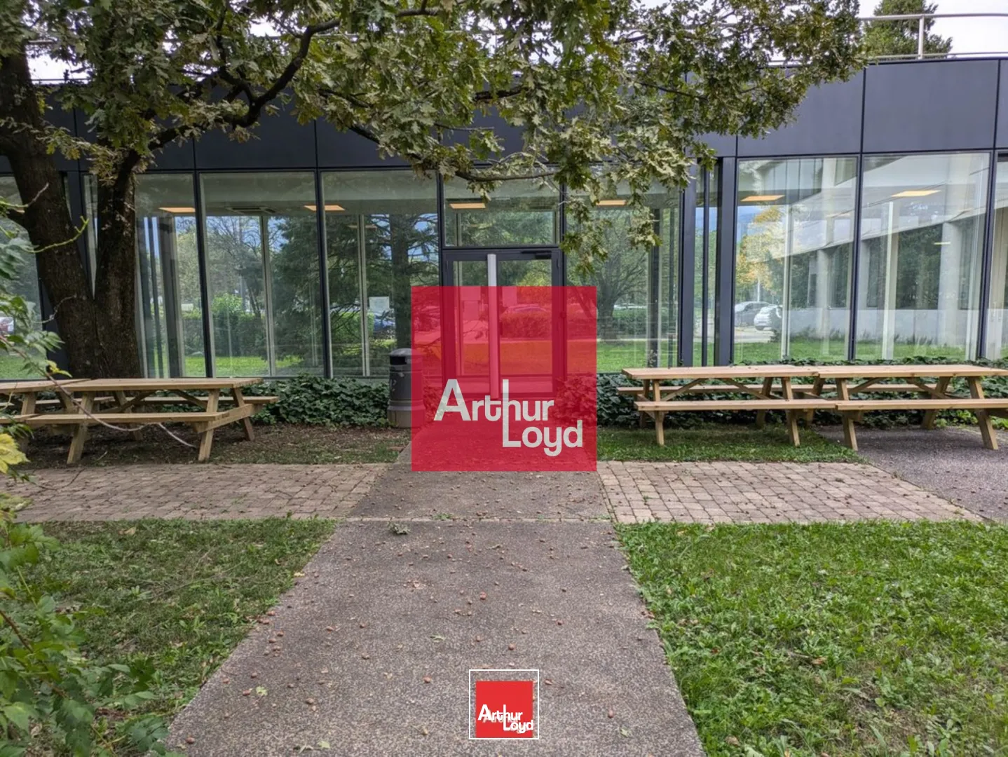 Bureaux - Location - EYBENS - 38320 - 249.68-914.23 - 7772398