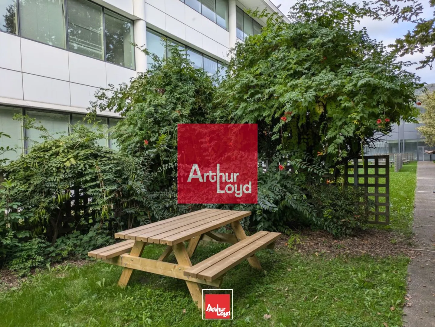 Bureaux - Location - EYBENS - 38320 - 249.68-914.23 - 7772399