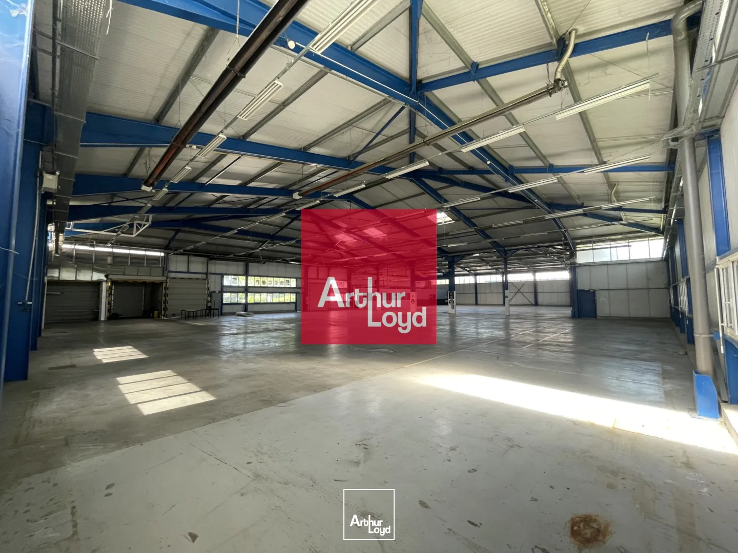 Locaux d'activité & Entrepôts - Location - EYBENS - 38320 - 2411-2411 - 7772487