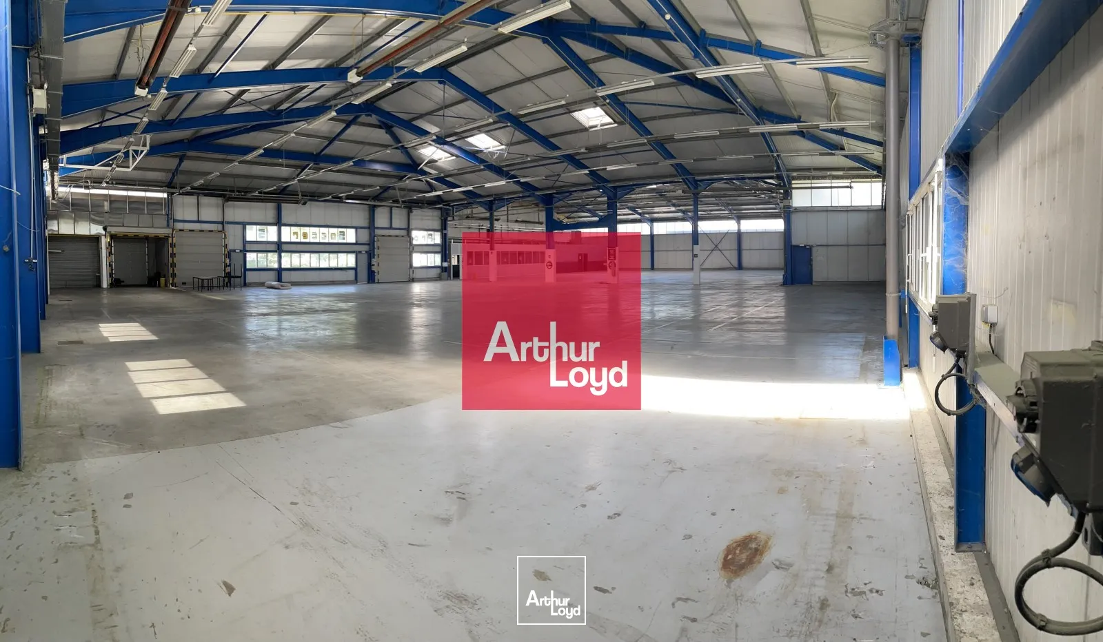 Locaux d'activité & Entrepôts - Location - EYBENS - 38320 - 2411-2411 - 7772483