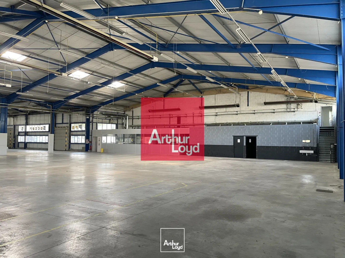 Locaux d'activité & Entrepôts - Location - EYBENS - 38320 - 2411-2411 - 7772488