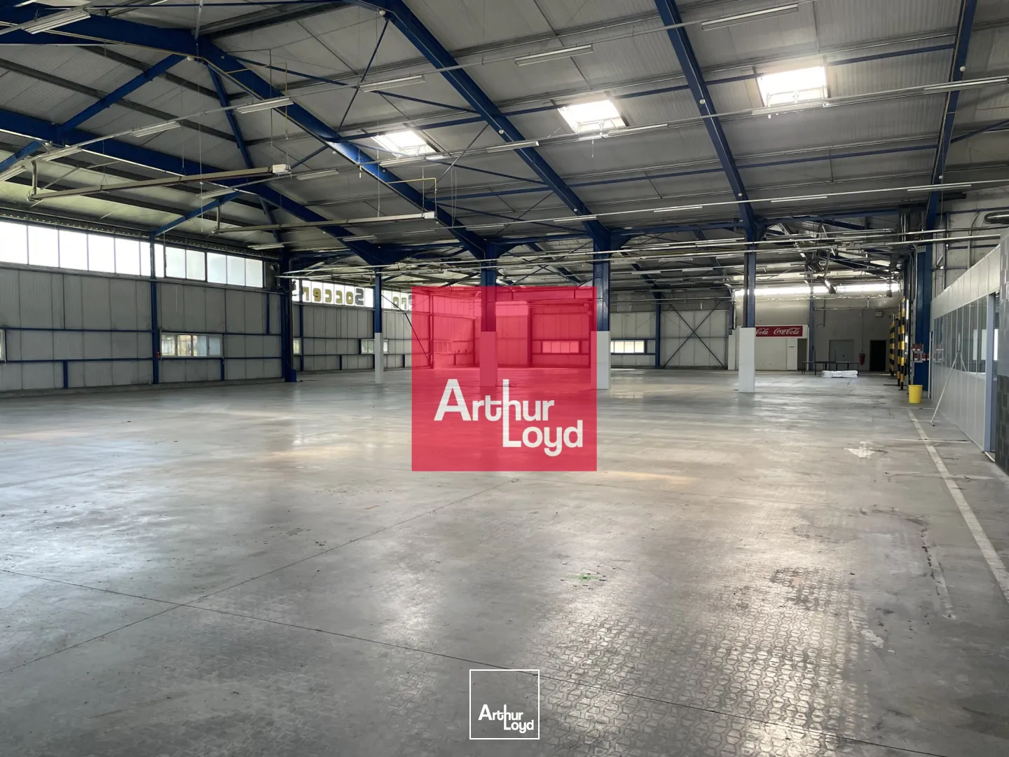 Locaux d'activité & Entrepôts - Location - EYBENS - 38320 - 2411-2411 - 7772489