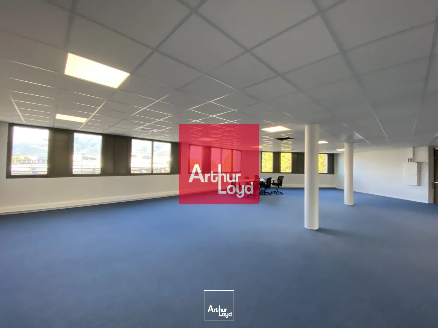 Bureaux - Location - GRENOBLE - 38100 - 511-511 - 7772768