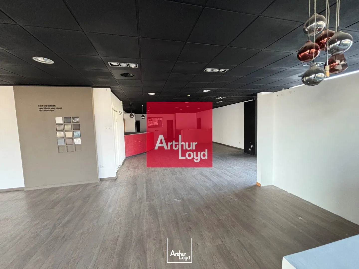 Locaux commerciaux - Location - SAINT EGREVE - 38120 - 245-245 - 7772951