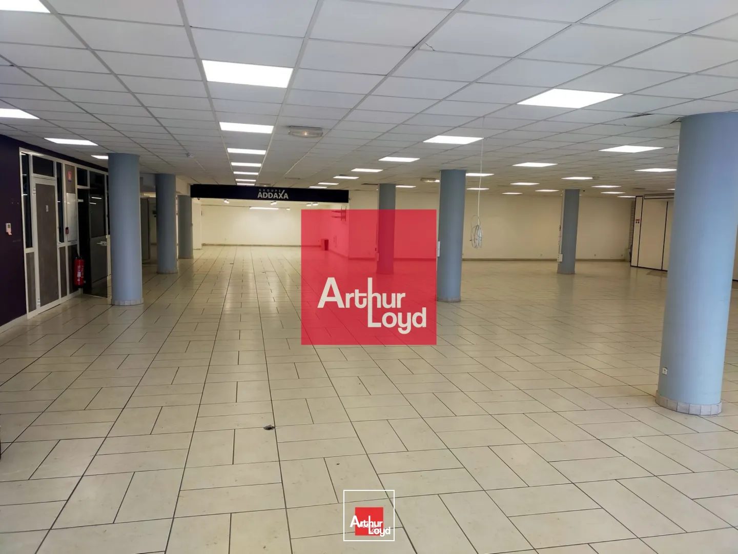 Locaux commerciaux - Vente - SAINT MARTIN LE VINOUX - 38950 - 553.7-553.7 - 7773134