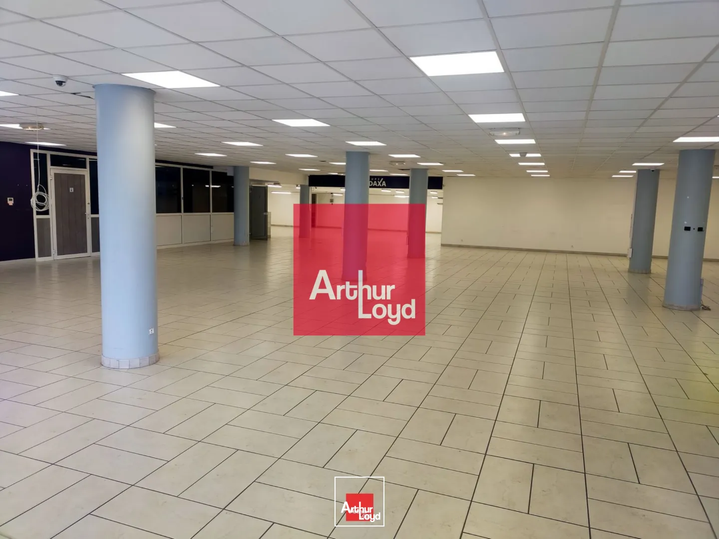 Locaux commerciaux - Vente - SAINT MARTIN LE VINOUX - 38950 - 553.7-553.7 - 7773135
