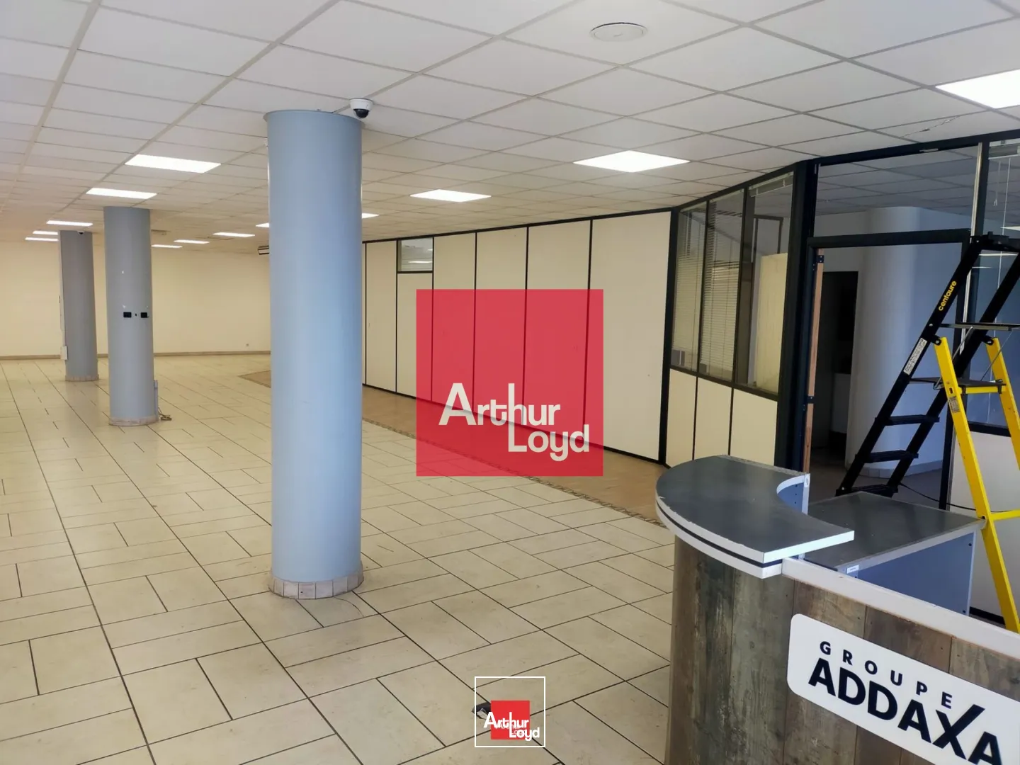 Locaux commerciaux - Vente - SAINT MARTIN LE VINOUX - 38950 - 553.7-553.7 - 7773136