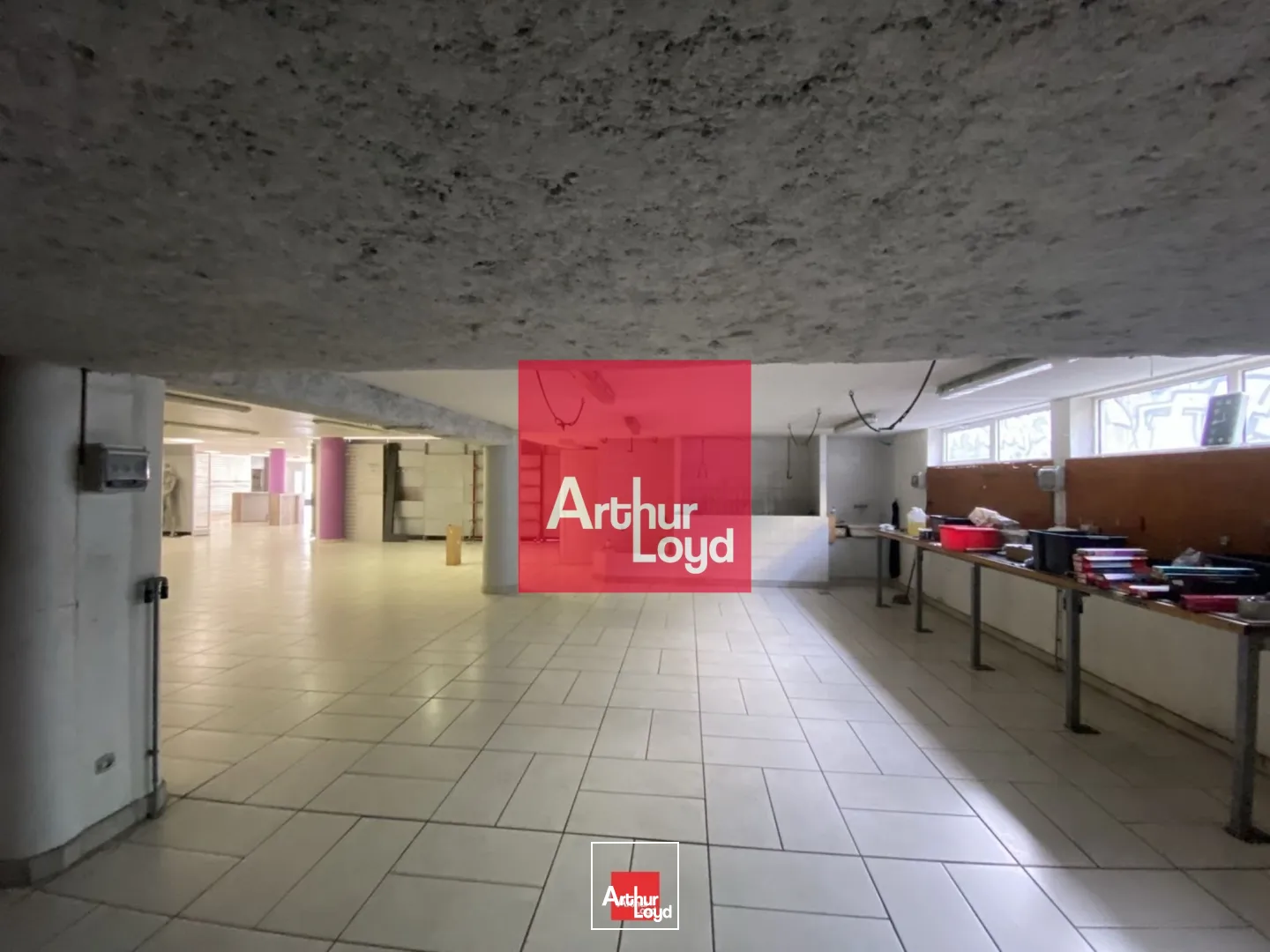 Locaux commerciaux - Vente - SAINT MARTIN LE VINOUX - 38950 - 553.7-553.7 - 7773139