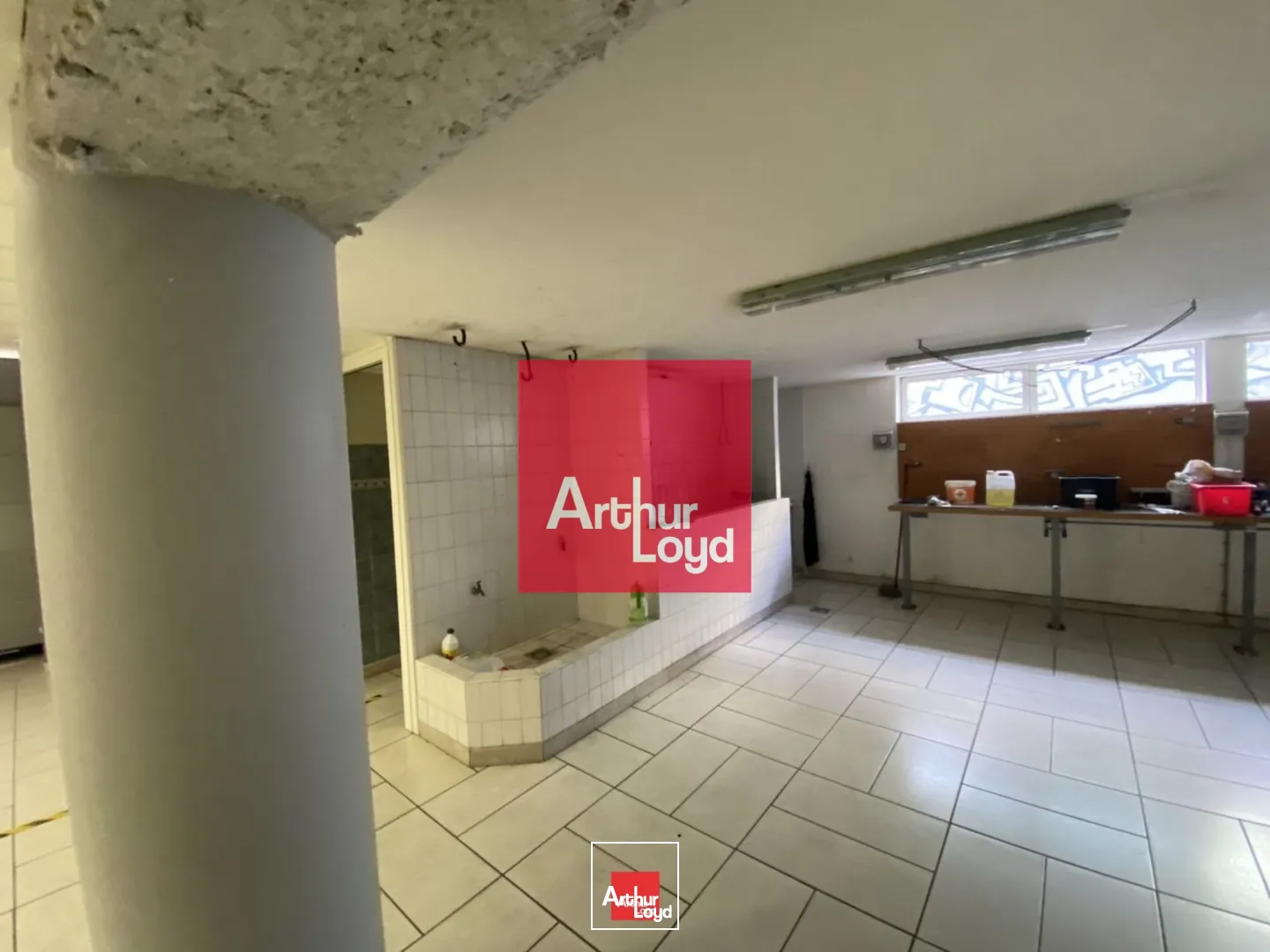 Locaux commerciaux - Vente - SAINT MARTIN LE VINOUX - 38950 - 553.7-553.7 - 7773142