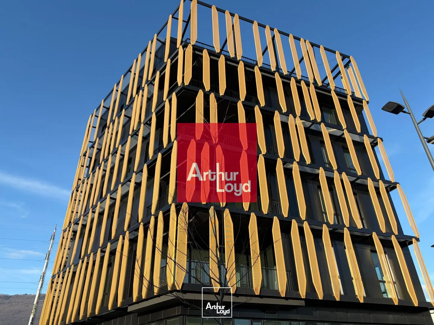 Bureaux - Location - GRENOBLE - 38000 - 216.93-3685.56 - 7773280