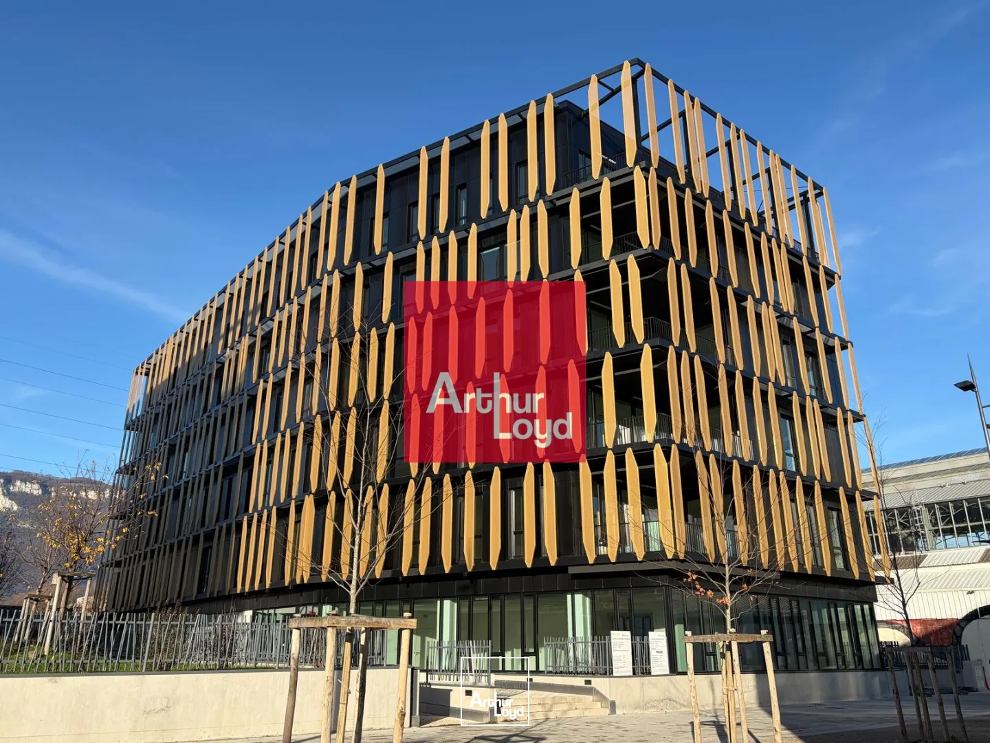 Bureaux - Location - GRENOBLE - 38000 - 216.93-3685.56 - 7773279