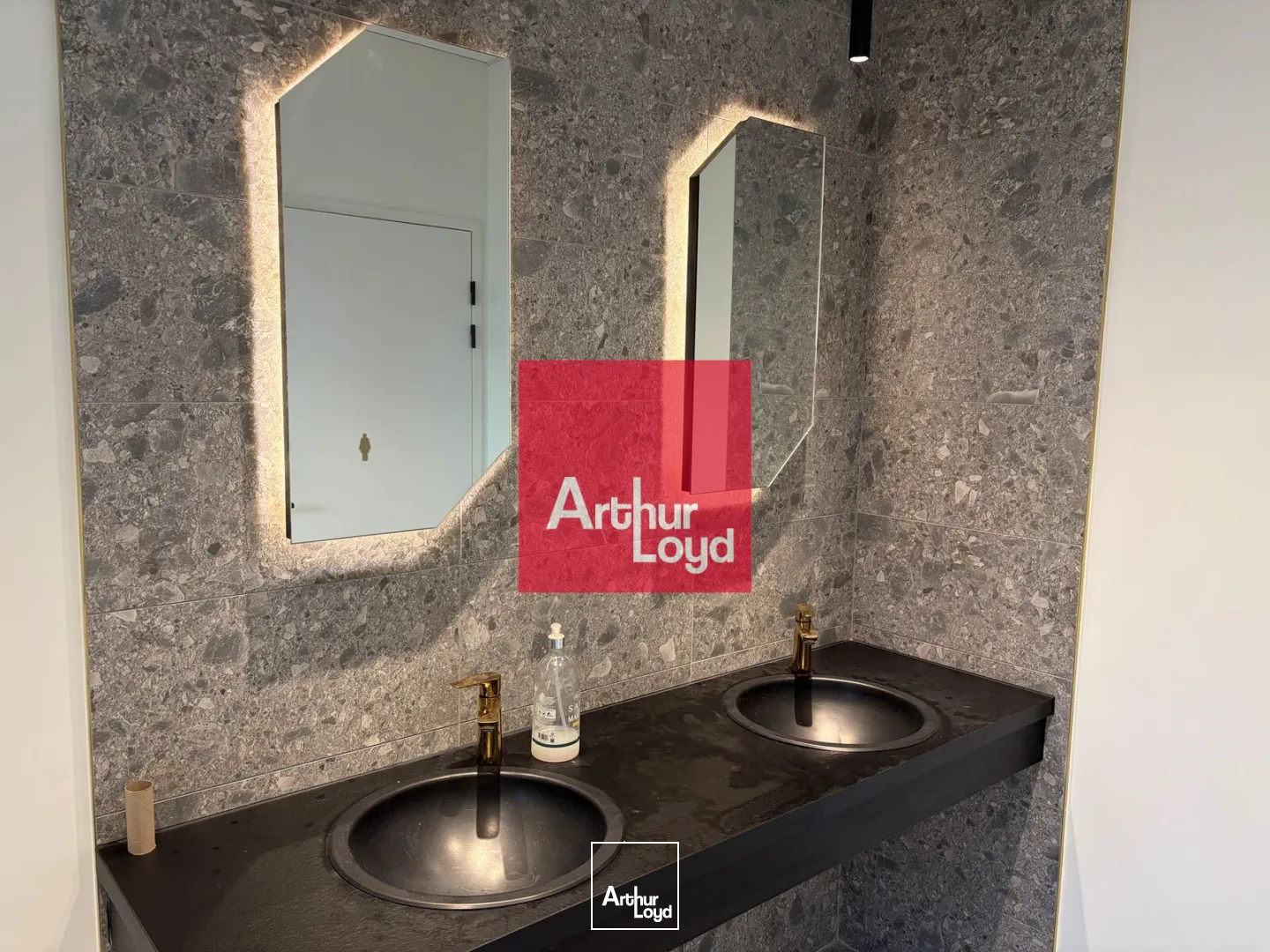 Bureaux - Location - GRENOBLE - 38000 - 216.93-3685.56 - 7773288