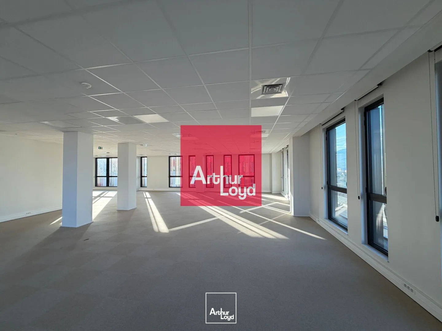 Bureaux - Location - GRENOBLE - 38000 - 216.93-3685.56 - 7773289