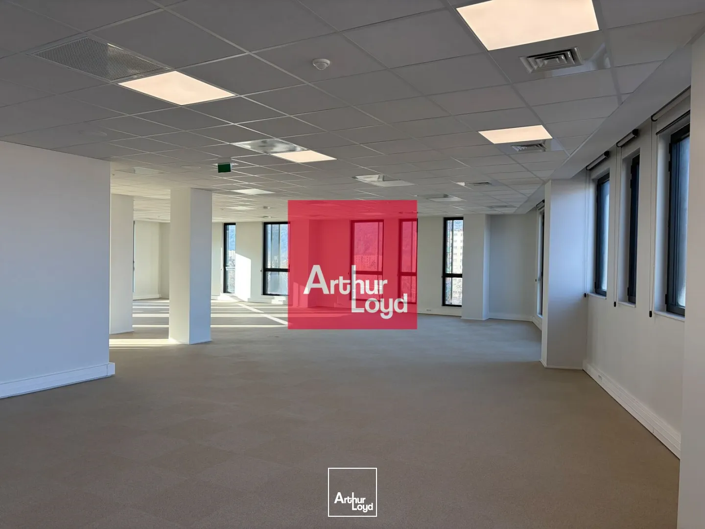 Bureaux - Location - GRENOBLE - 38000 - 216.93-3685.56 - 7773290