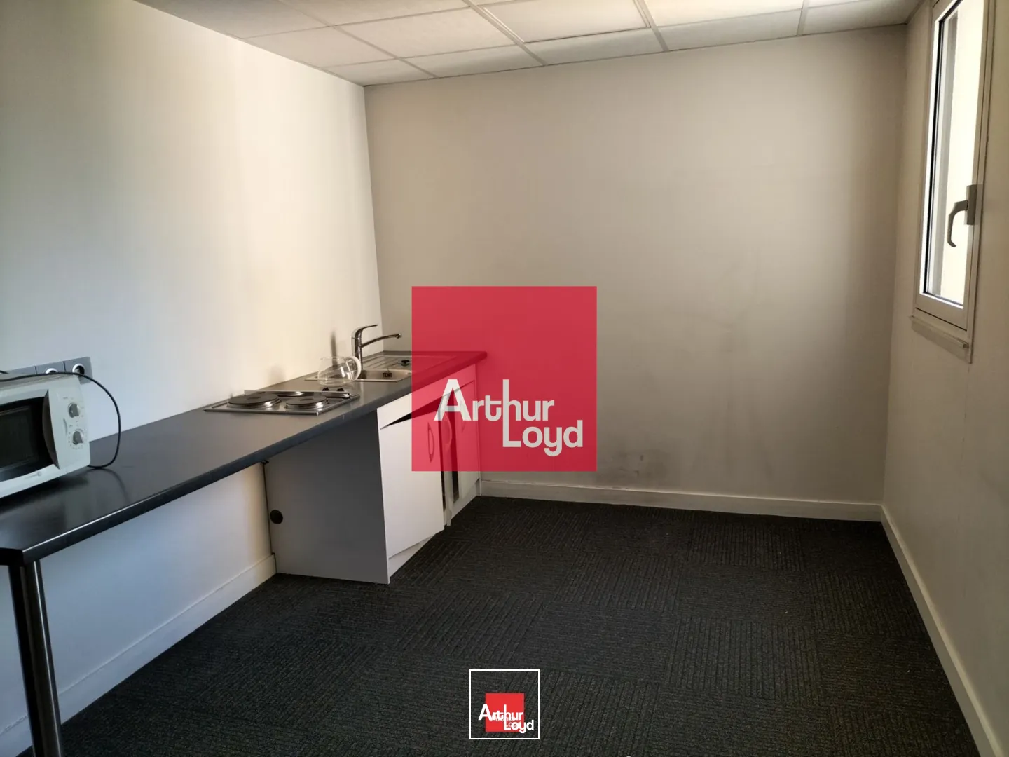 Bureaux - Location - GRENOBLE - 38100 - 110-1250 - 7773601