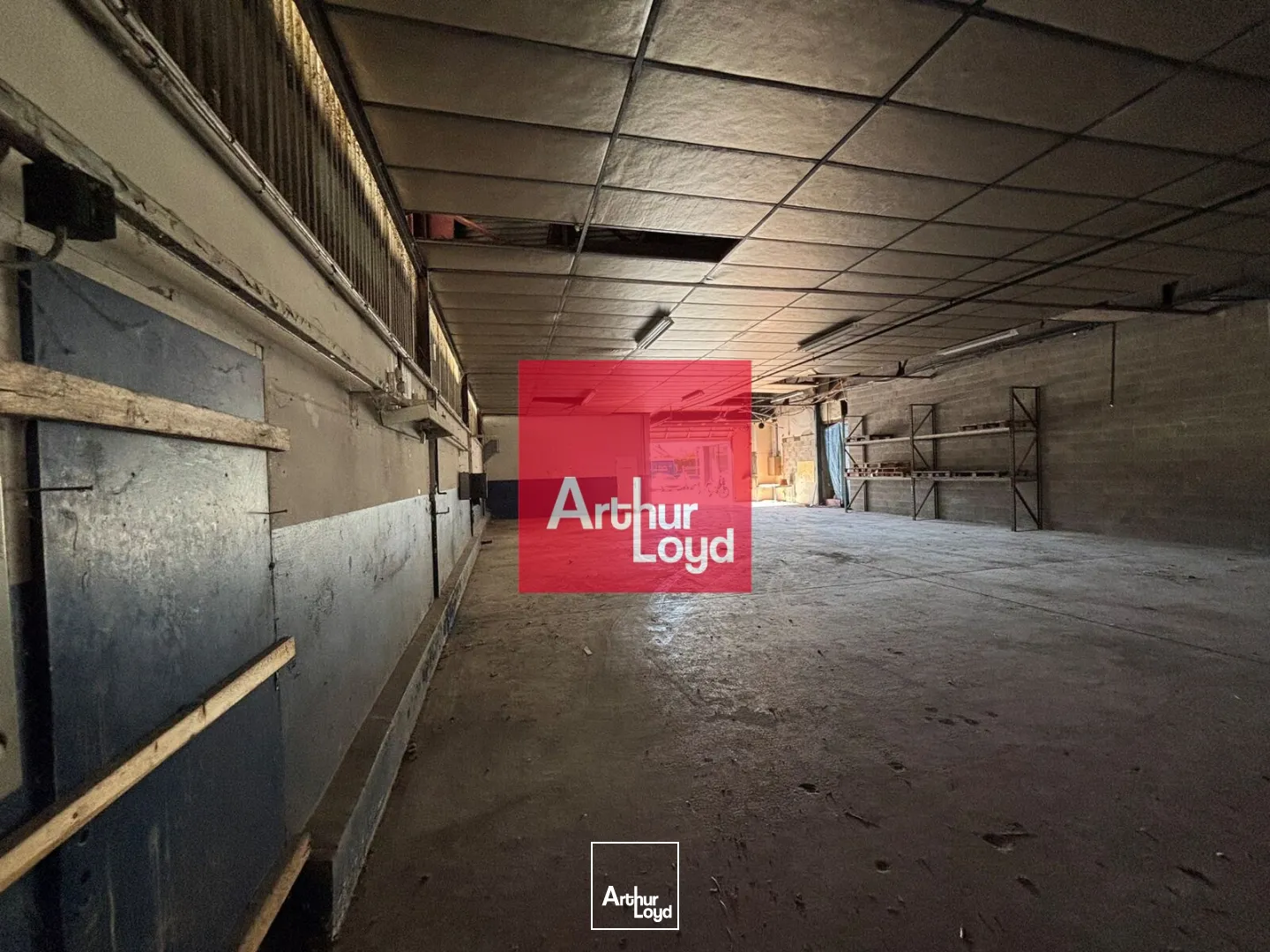 Locaux d'activité & Entrepôts - Location - SAINT EGREVE - 38120 - 343-343 - 7773813