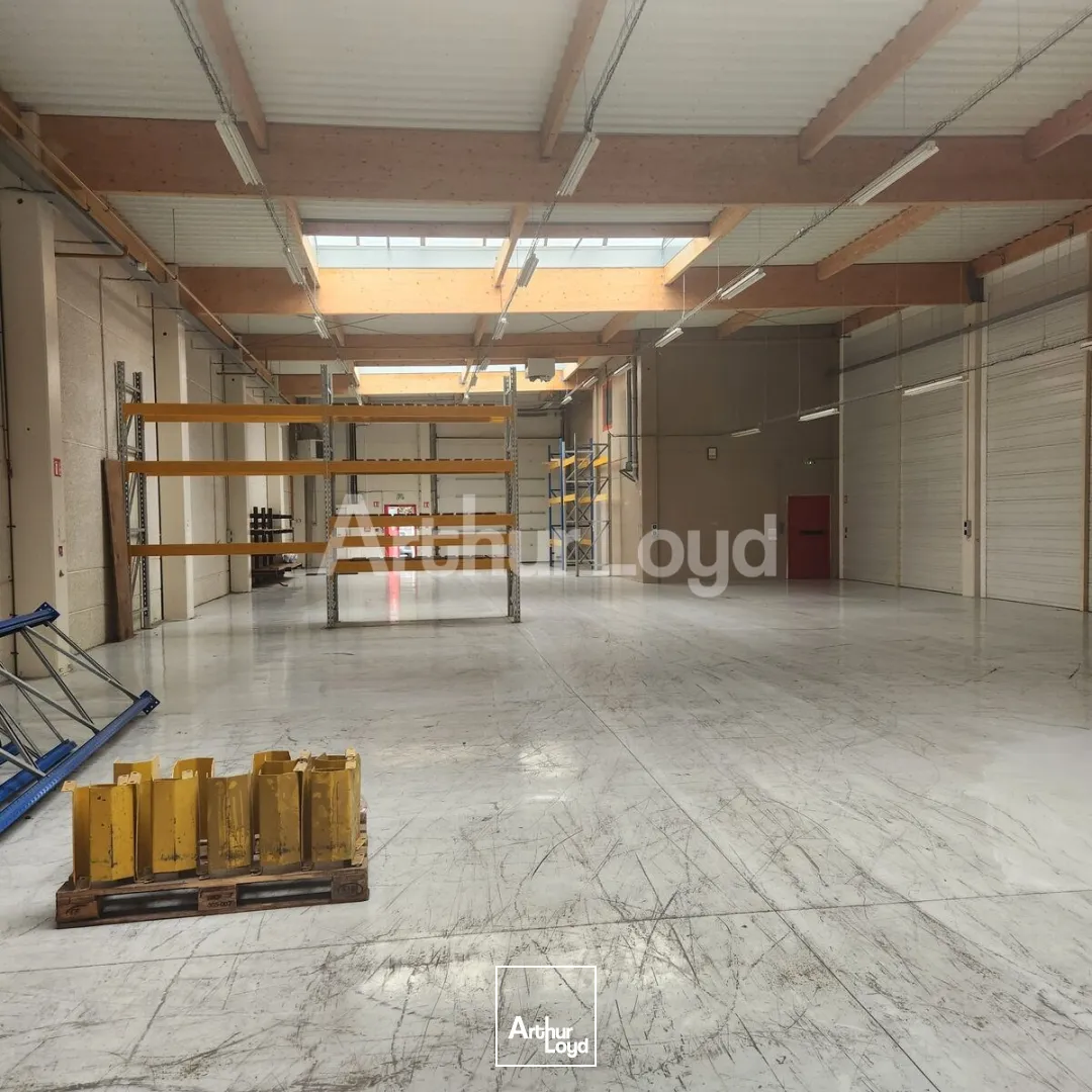 Locaux d'activité & Entrepôts - Location - SECLIN - 59113 - 476-3482 - 7774270