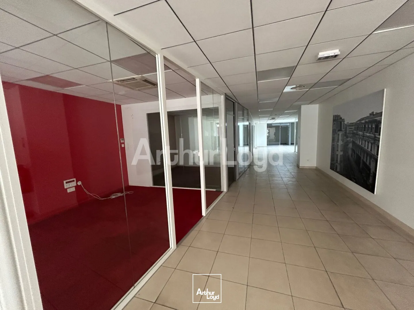 Locaux commerciaux - Location - LILLE - 59800 - 356-356 - 7774287