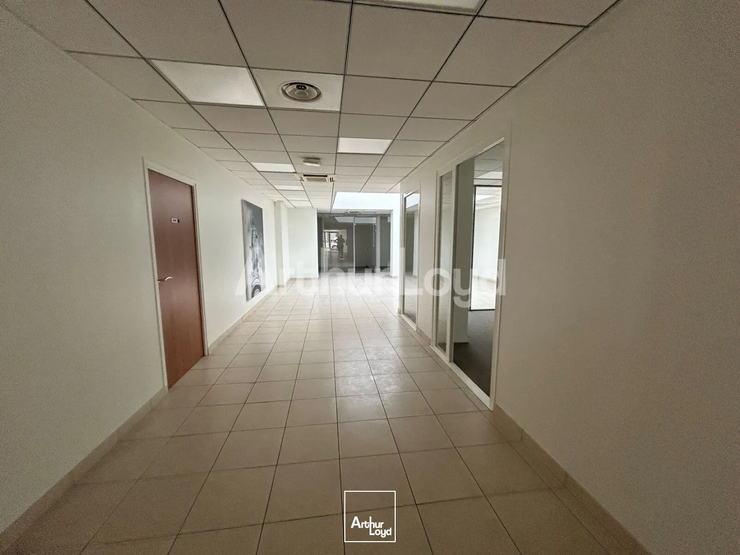 Locaux commerciaux - Location - LILLE - 59800 - 356-356 - 7774288