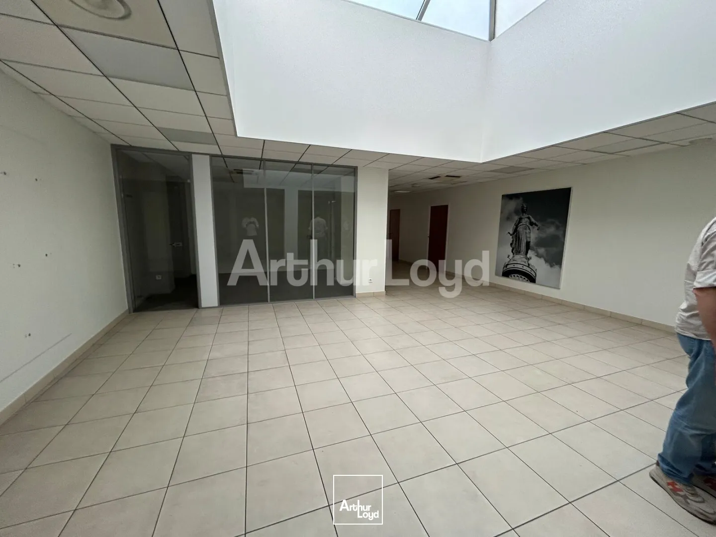 Locaux commerciaux - Location - LILLE - 59800 - 356-356 - 7774289