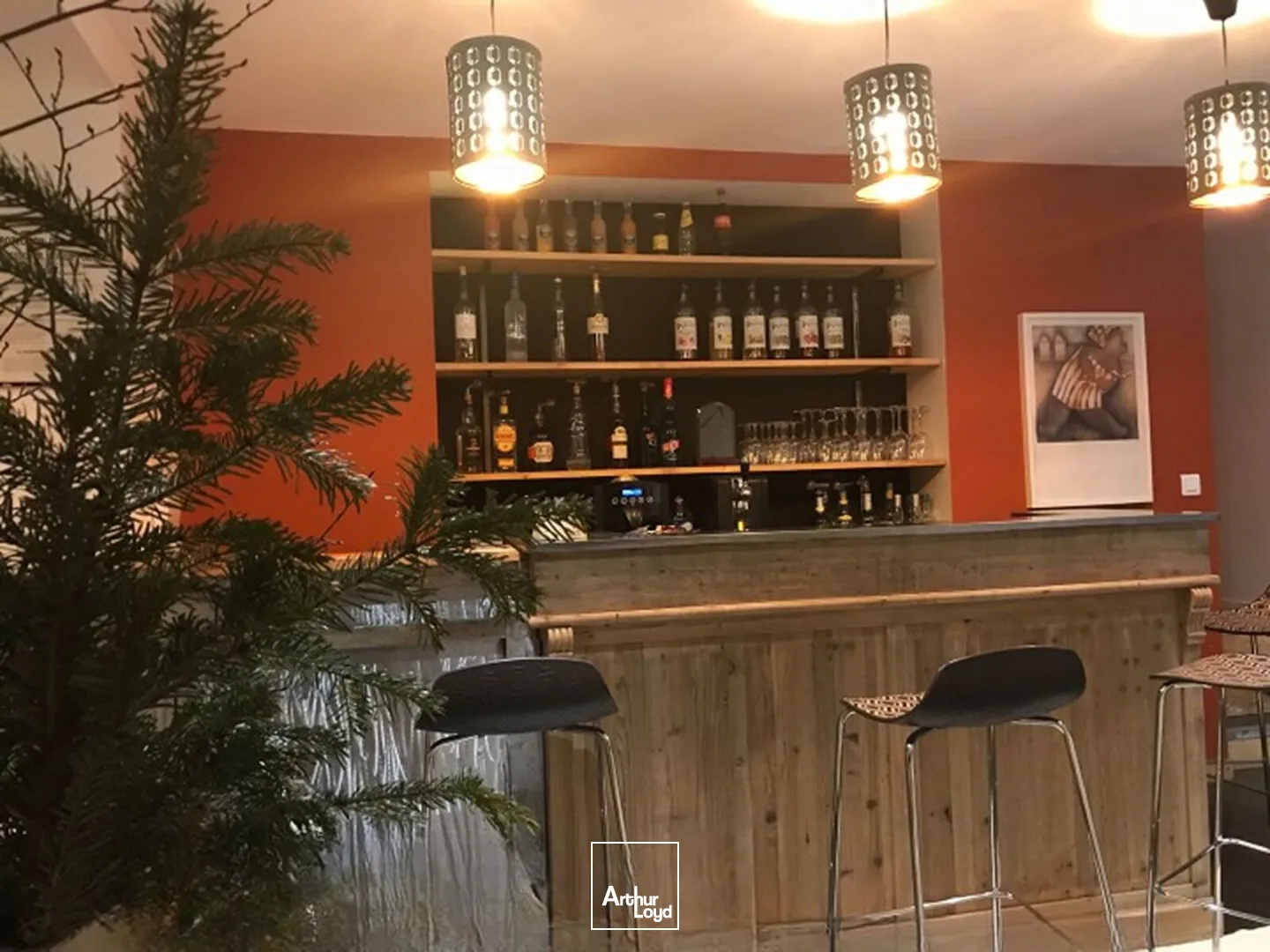 Locaux commerciaux - Vente - CLEPPE - 42110 - 495-495 - 7774414