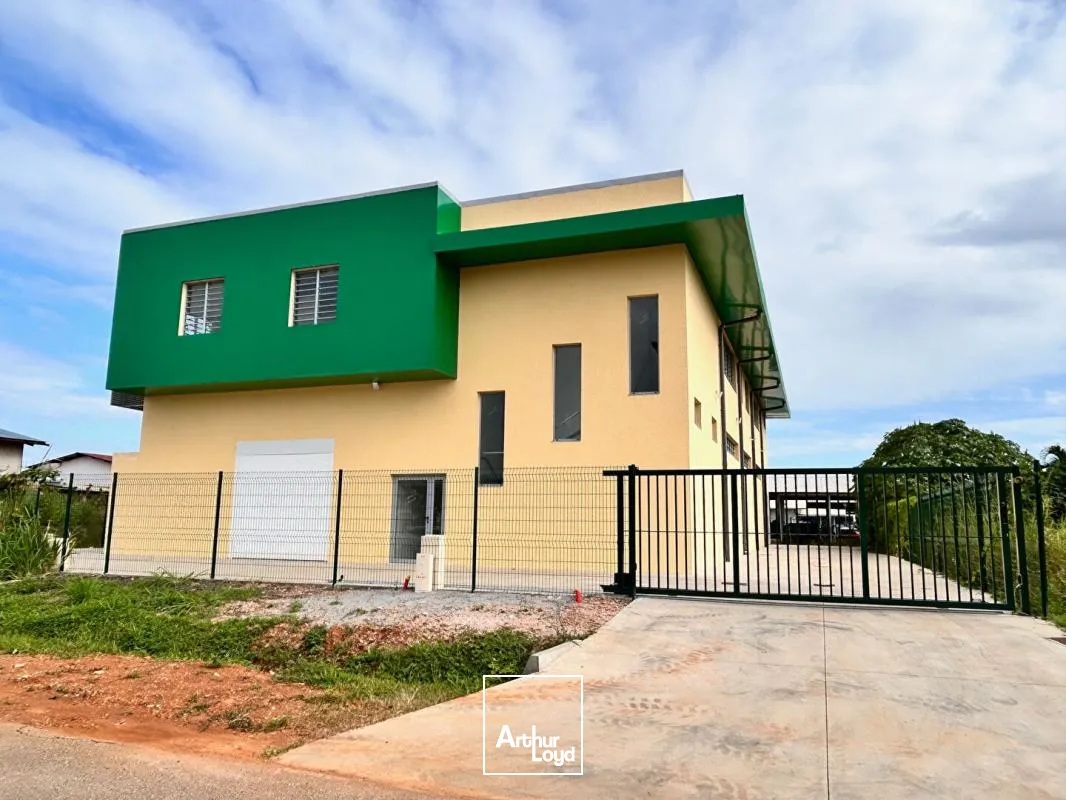 Bureaux - Location - Cayenne - 97300 - 168-168 - 7774423