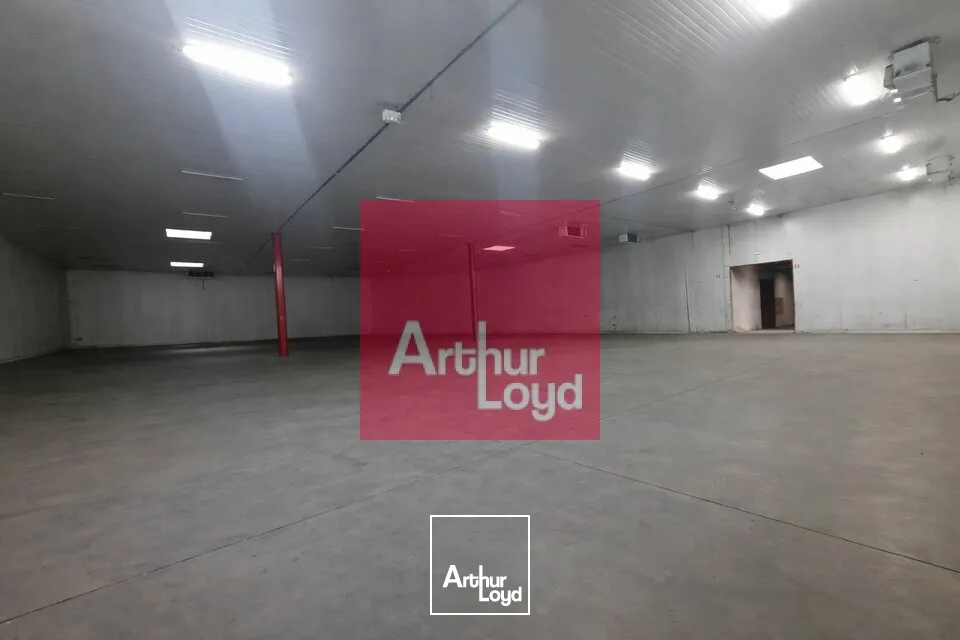 Locaux d'activité & Entrepôts - Location - COURNON D'AUVERGNE - 63800 - 1785-1785 - 7774579