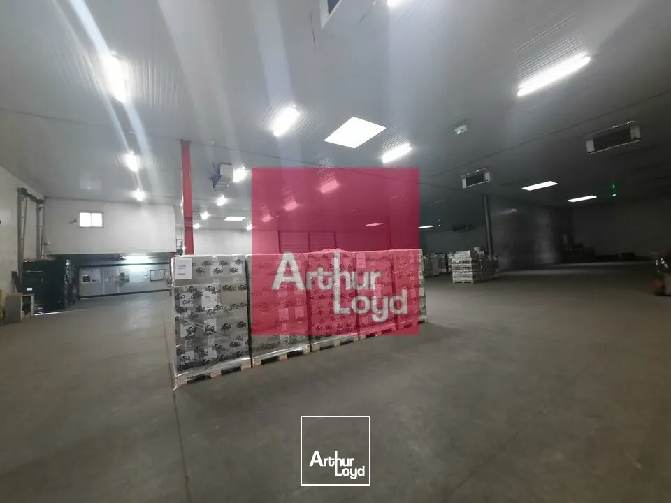Locaux d'activité & Entrepôts - Location - COURNON D'AUVERGNE - 63800 - 1785-1785 - 7774580