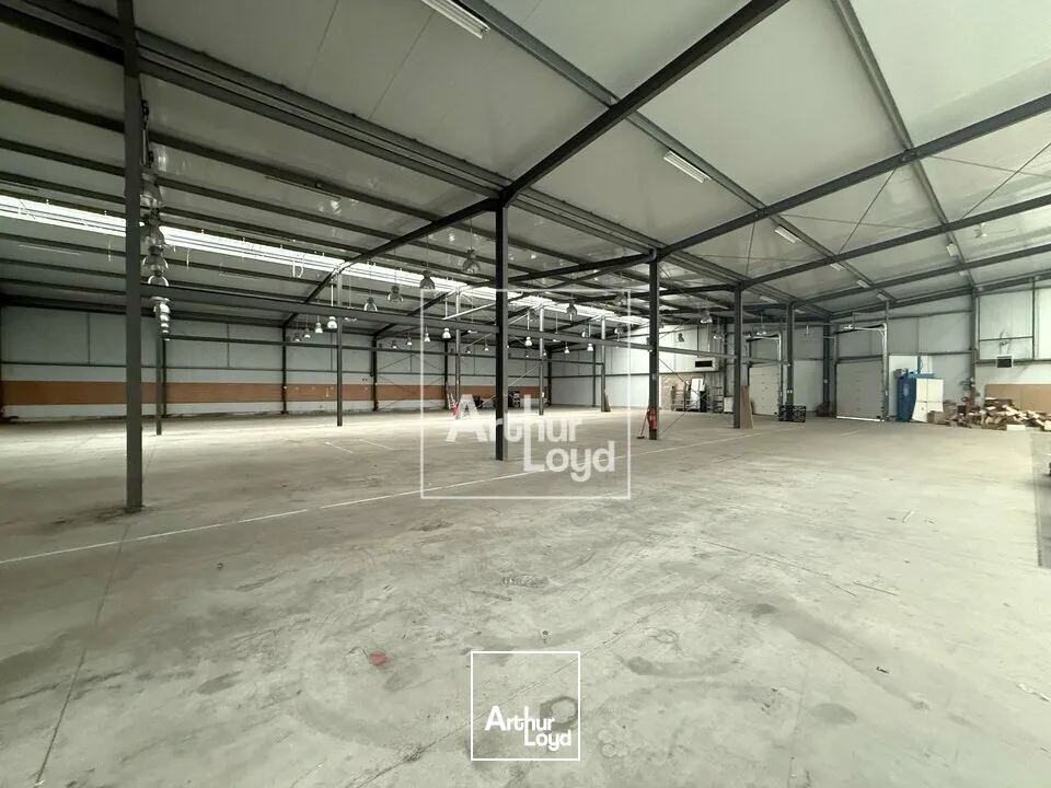 Locaux d'activité & Entrepôts - Vente - MORET SUR LOING - 77250 - 3000-3000 - 7774639