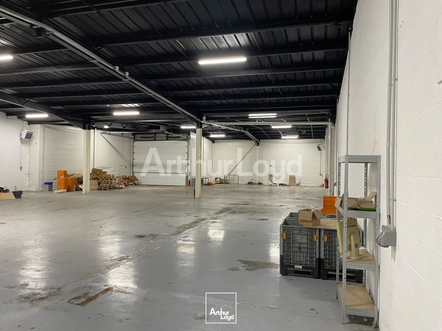 Locaux d'activité & Entrepôts - Location - TRITH SAINT LEGER - 59125 - 738-738 - 7775199