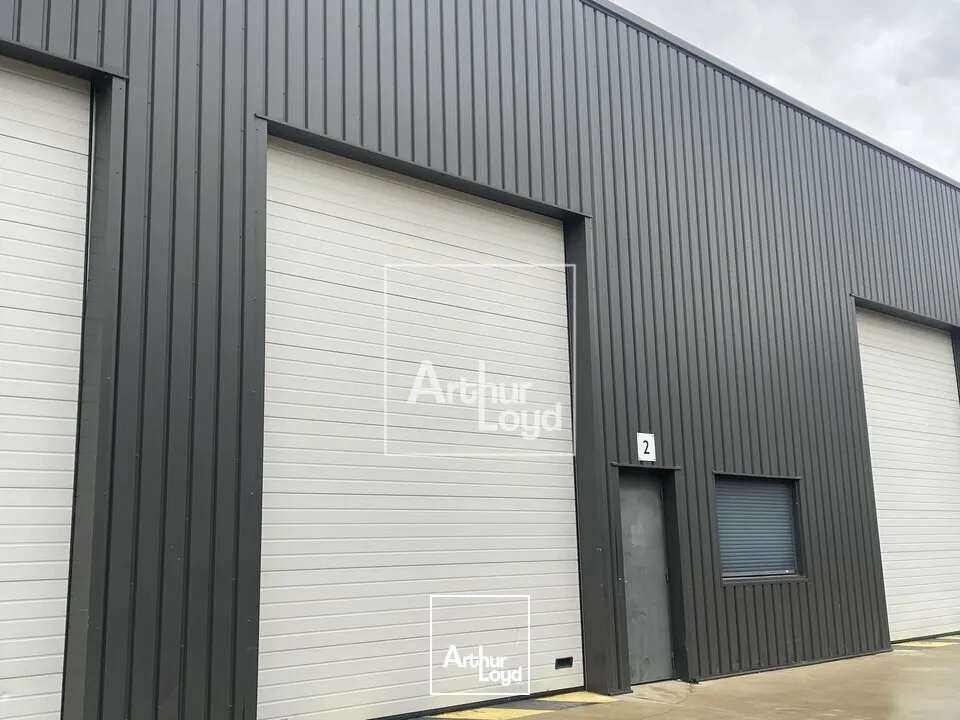 Locaux d'activité & Entrepôts - Location - CESSON - 77240 - 253-253 - 7776501