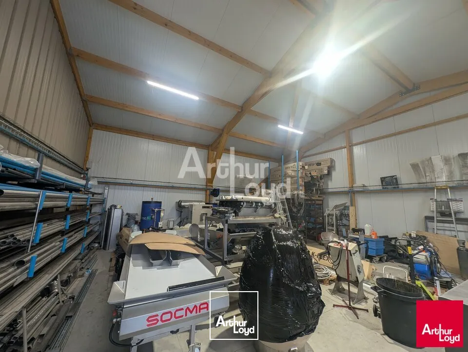 Locaux d'activité & Entrepôts - Vente - BELLEVIGNE-LES-CHÂTEAUX - 49260 - 872-872 - 7776515