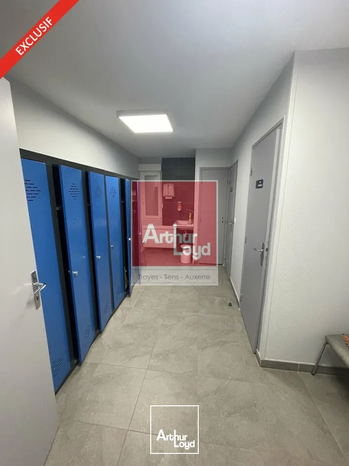 Locaux d'activité & Entrepôts - Vente - MALAY-LE-GRAND - 89100 - 665-665 - 7776532