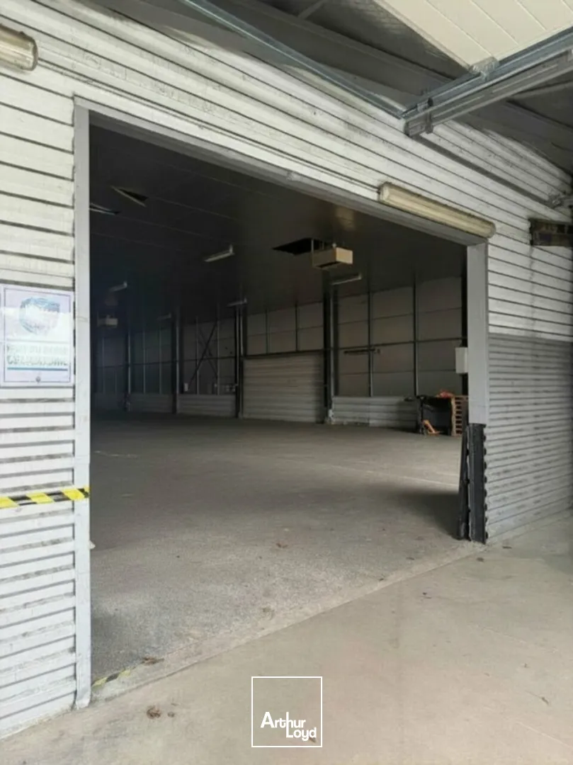 Locaux d'activité & Entrepôts - Location - LA CHAPELLE-SAINT-URSIN - 18570 - 1100-1100 - 7776555